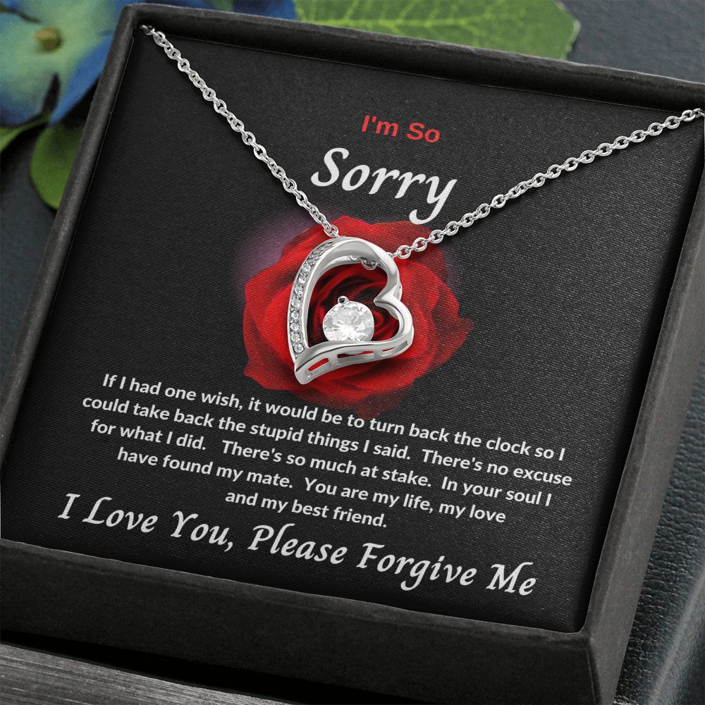 I'm So Sorry | Forever Love Necklace