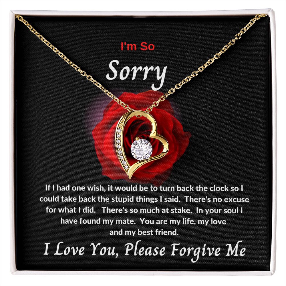I'm So Sorry | Forever Love Necklace