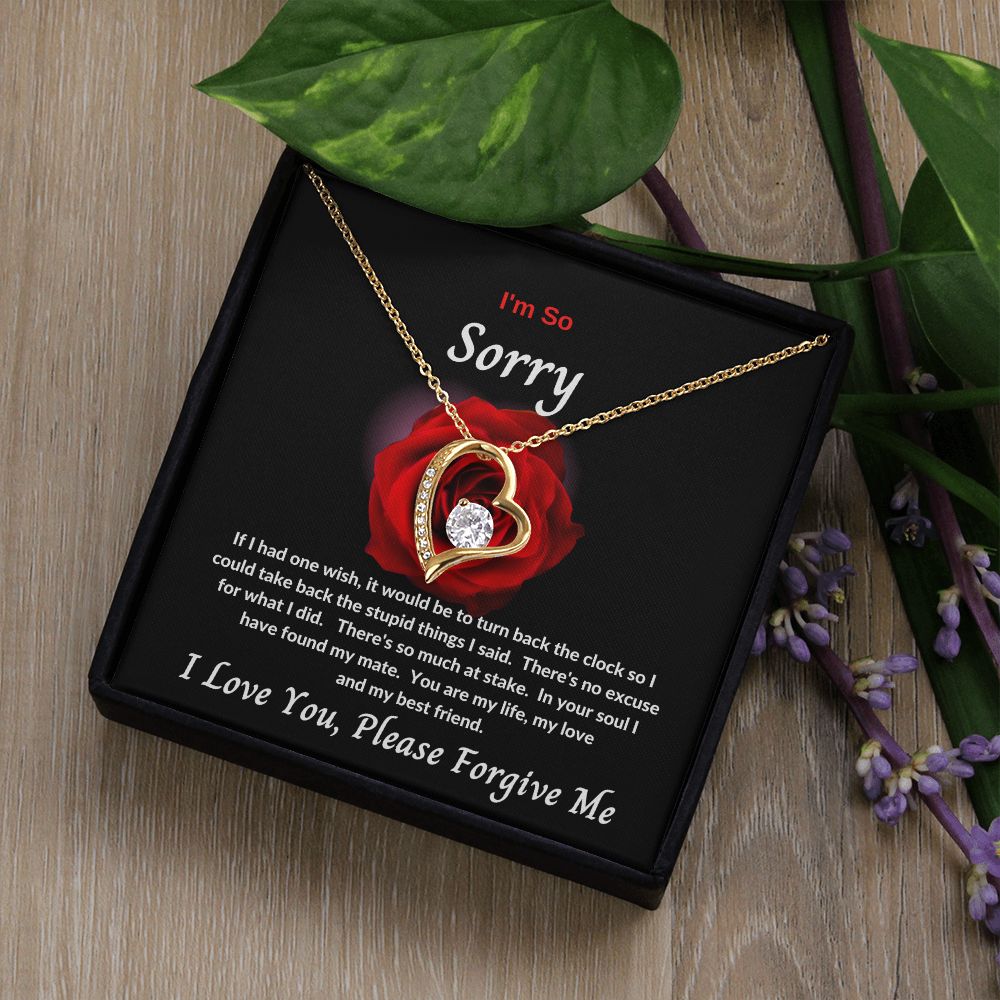 I'm So Sorry | Forever Love Necklace